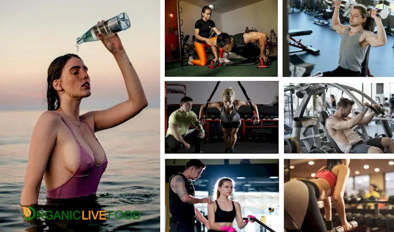 YouFit 24 Hours Fitness LA Fitness Gym Specials