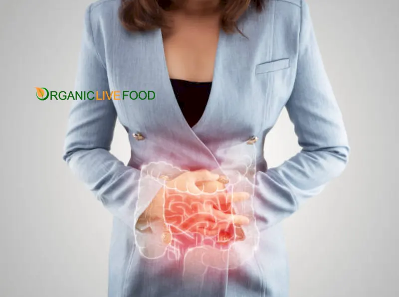 Digestive system plays a critical role in our overall health