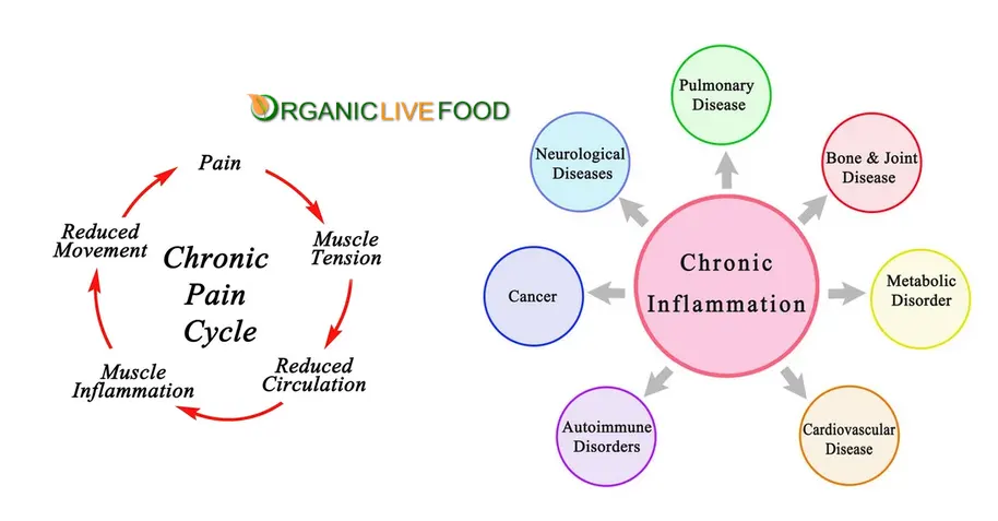 what triggers inflammation in the body
