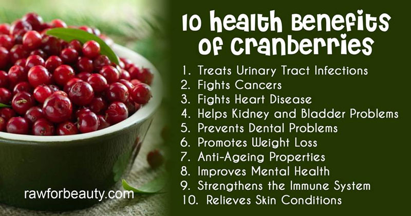 cranberries-health